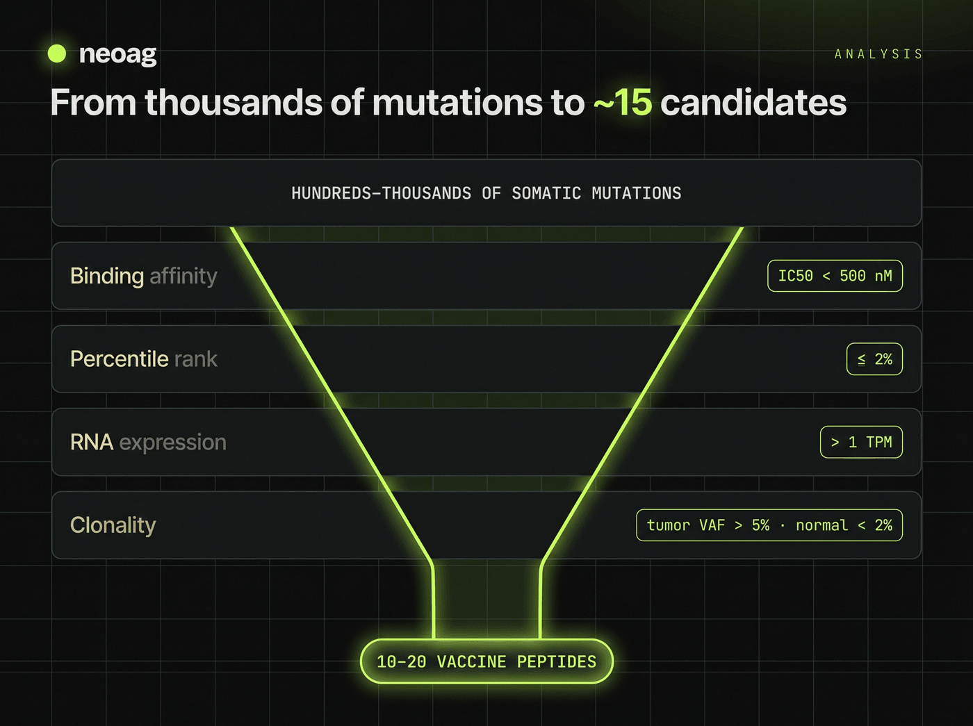 Funnel infographic showing hundreds to thousands of somatic mutations filtered through binding affinity (IC50 < 500 nM), percentile rank (≤ 2%), RNA expression (> 1 TPM), and clonality (tumor VAF > 5%, normal < 2%) down to 10–20 vaccine peptides.